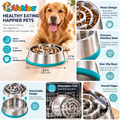 Uehioa™ Stainless Steel Slow Feeder Dog Bowl product details